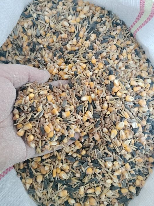 Vând amestec de cereale