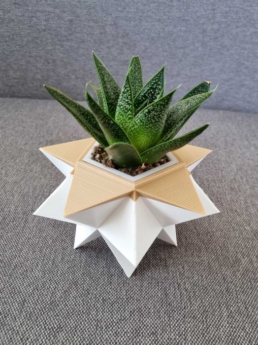 Геометрична кашпа със соколентно разстение