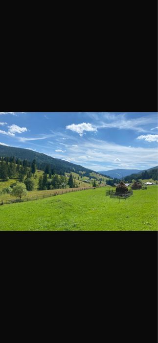 Teren de vanzare la munte in Bucovina