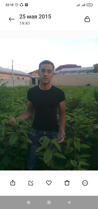 Karlik yanxok chantler