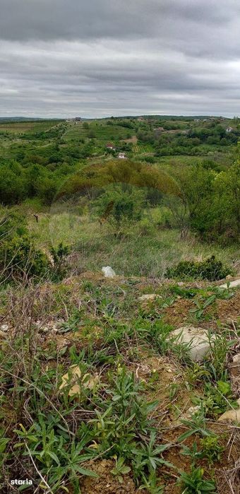 Teren 1826mp de vânzare în zona Gheorghe Doja, Oradea