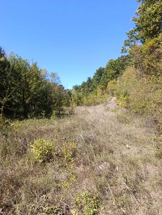 Продава се Промишлена сграда в Габрово, Промишлена зона - 2880 кв.м за 105 €/кв.м - Снимка #17