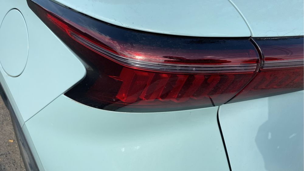 Перепелки поющие дикие