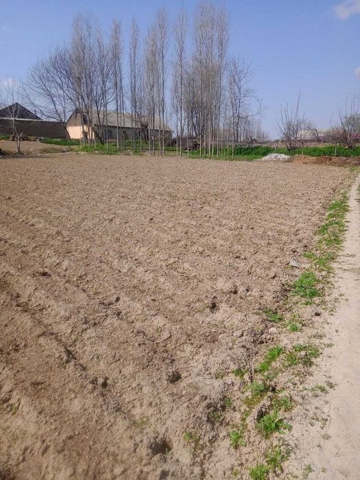 Продается 12 соток земли каждая сотка 3000$ на Хамракул Турсункулове