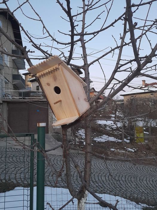 Дървени къщички, пчелно масло и пръчки за захарен памук.
