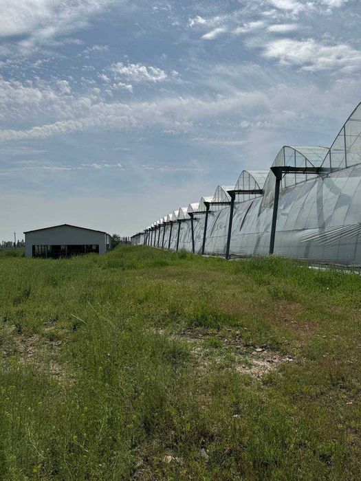 ISSIQXONA (4 GEKTAR) IJARAGA\Теплица 4 га в аренду