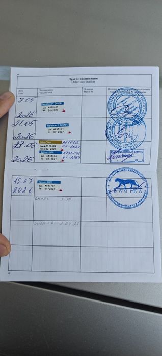 Курцхаар щенок 4 месяца