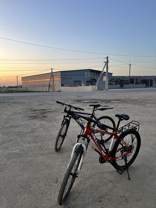 Велик тринкс  состойене ляля