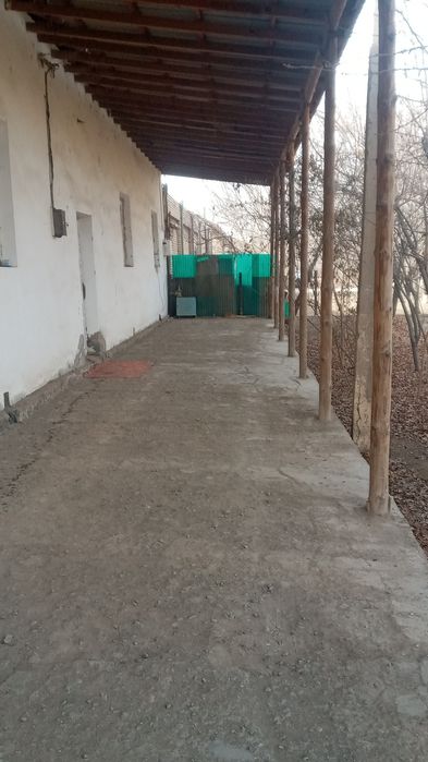 Joy sotiladi 16 sutik