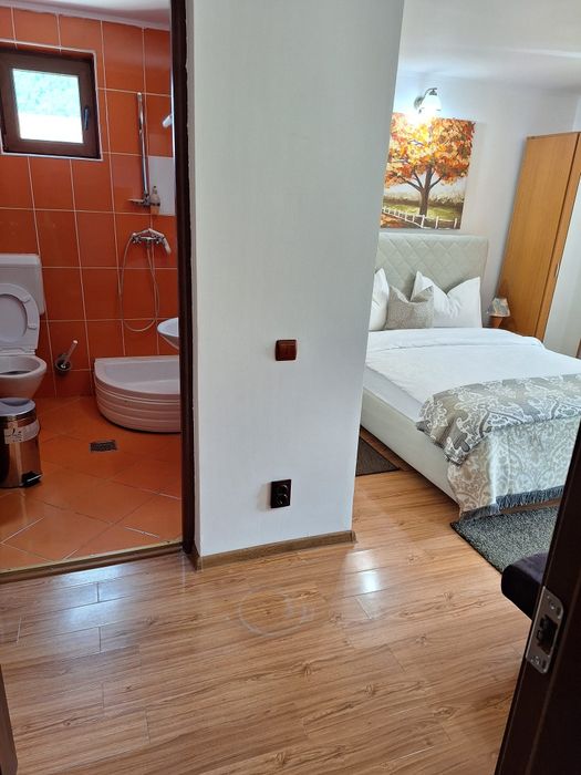 Cazare Busteni camere de închiriat