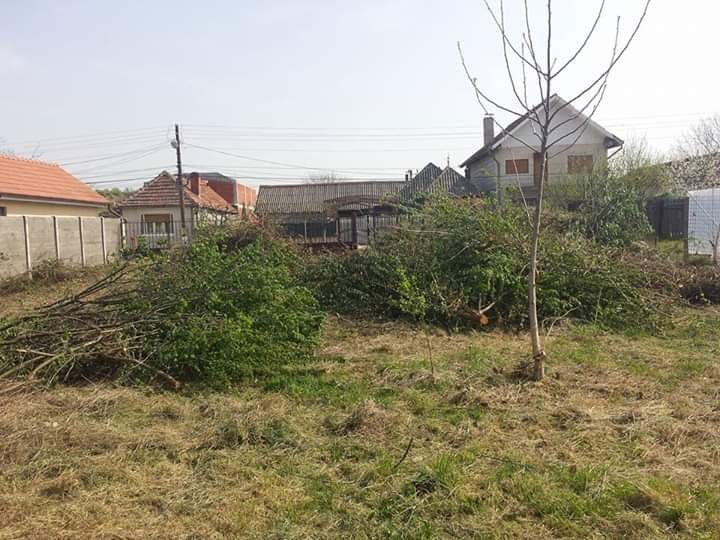 Curăț și întrețin