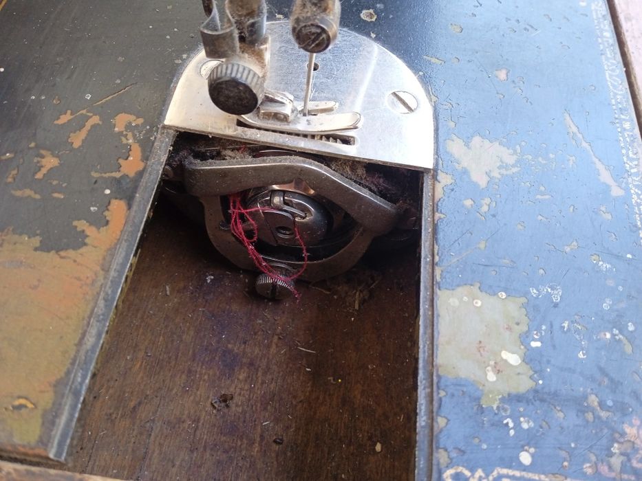 Xolli Xolston bilan porno tomosha qiling