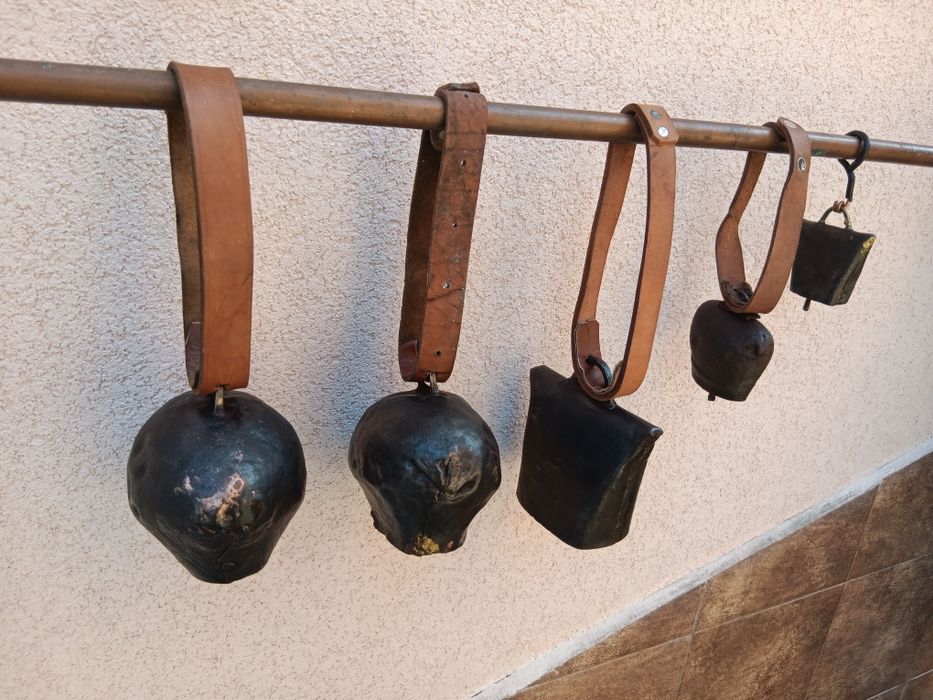 Хлопки от началото на 20 век