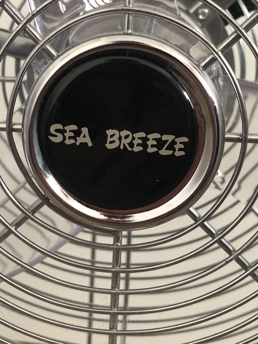 Ventilator camera
