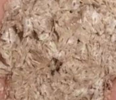 Павловния уруги, сотилади.