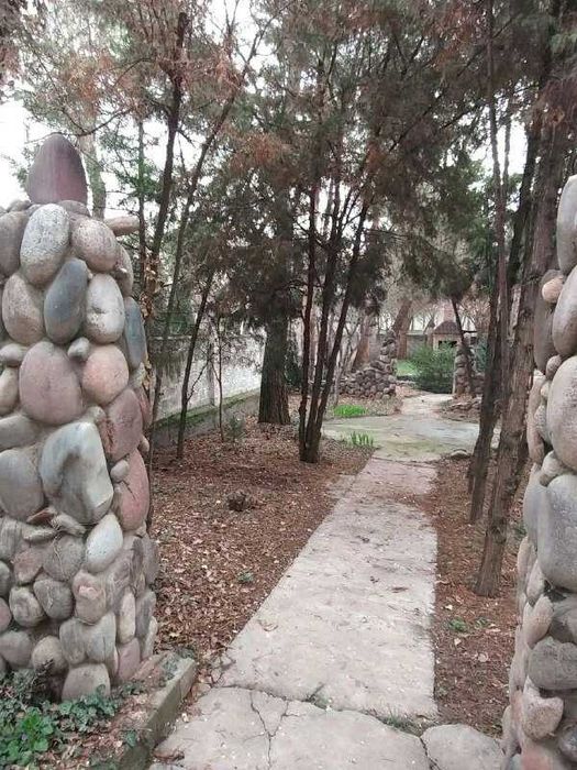 Предлагаем на продажу дачный участок более 50 соток в Тузеле.