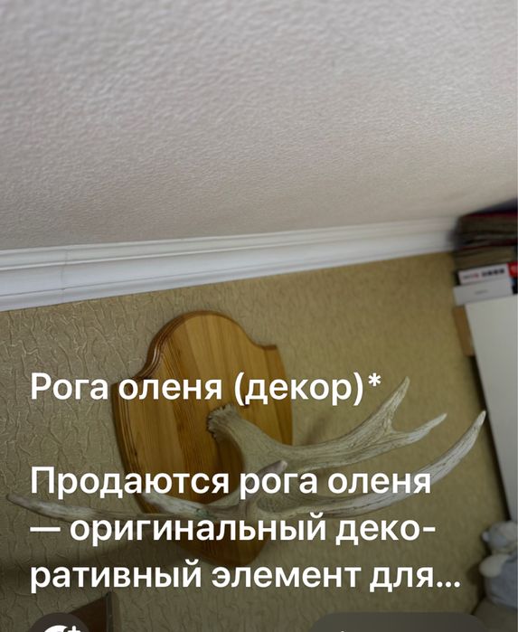 Оленьи рога для интерьра