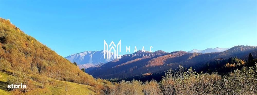 Oportunități de Investiție în Terenuri Sebesul de Sus