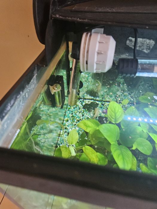 Vand acvariu pesti de 40 l