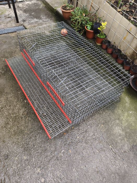 Vând prepelite ouătoare