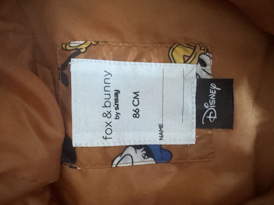 Vesta Mickey Mouse 86