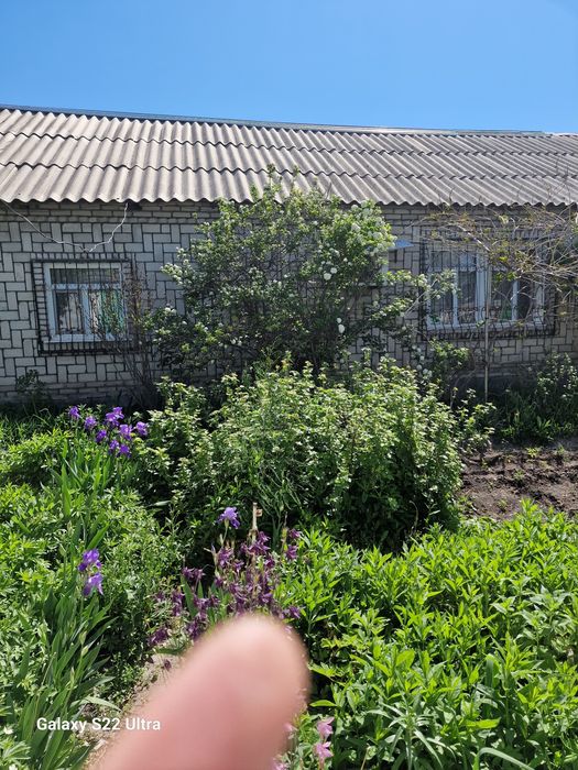 Продам дом в центре города Шу.