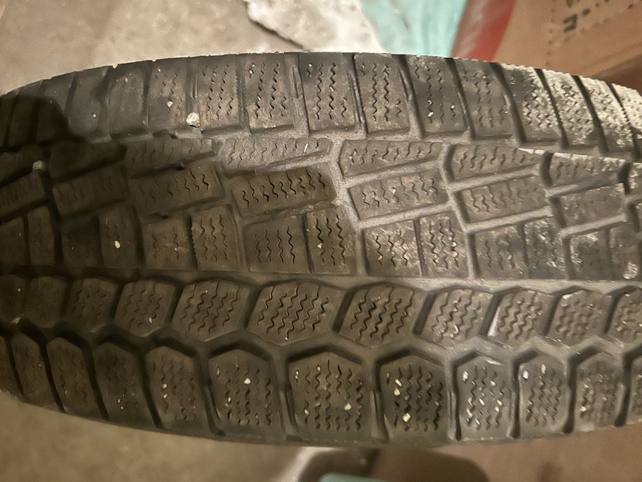 Дөңгелек қыстық жағдайы жақсы