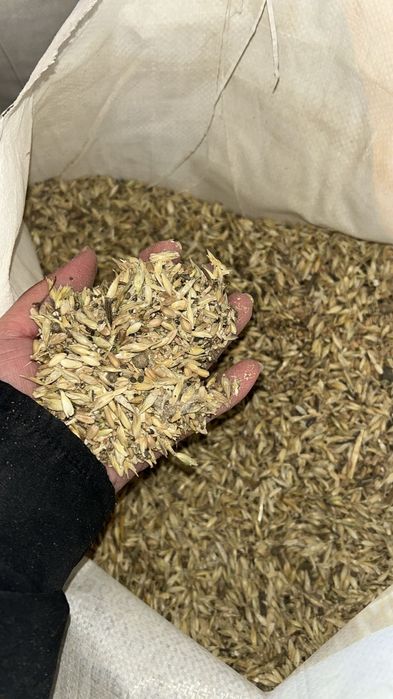 Зерноотходы чистые без пыли