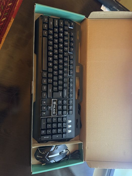 klaviyatura, mishka RGB podsvetkali