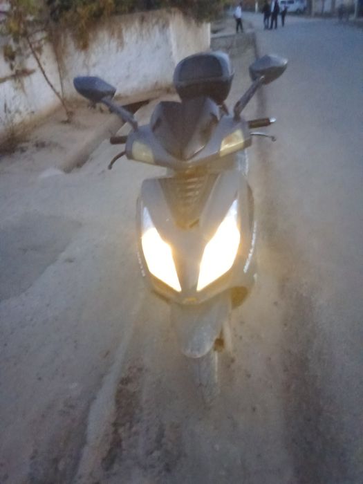 Sukutr yurishiga javob