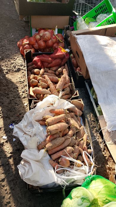 Продукты питания