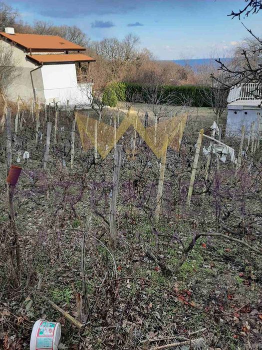 Продава се Парцел в к.к. Златни пясъци - 551 кв.м за 60 €/кв.м - Снимка #2