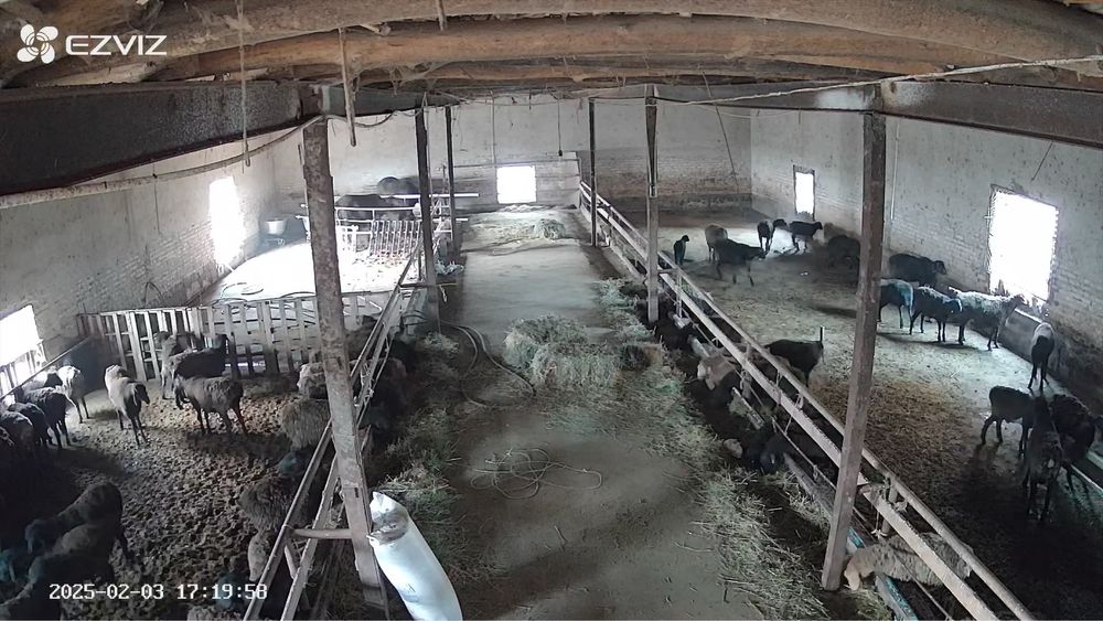 Ferma yoki  Ishlab chiqarish uchun yer noturar bino sotiladi