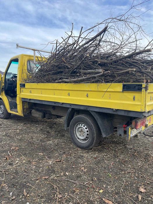 Amenajări și întreținerea spatiilor verzii.  Șanțuri fundați..etc