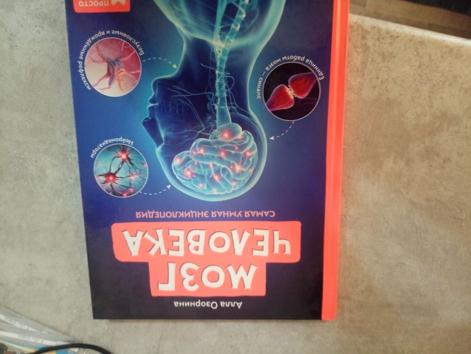 Книга про мозг человека