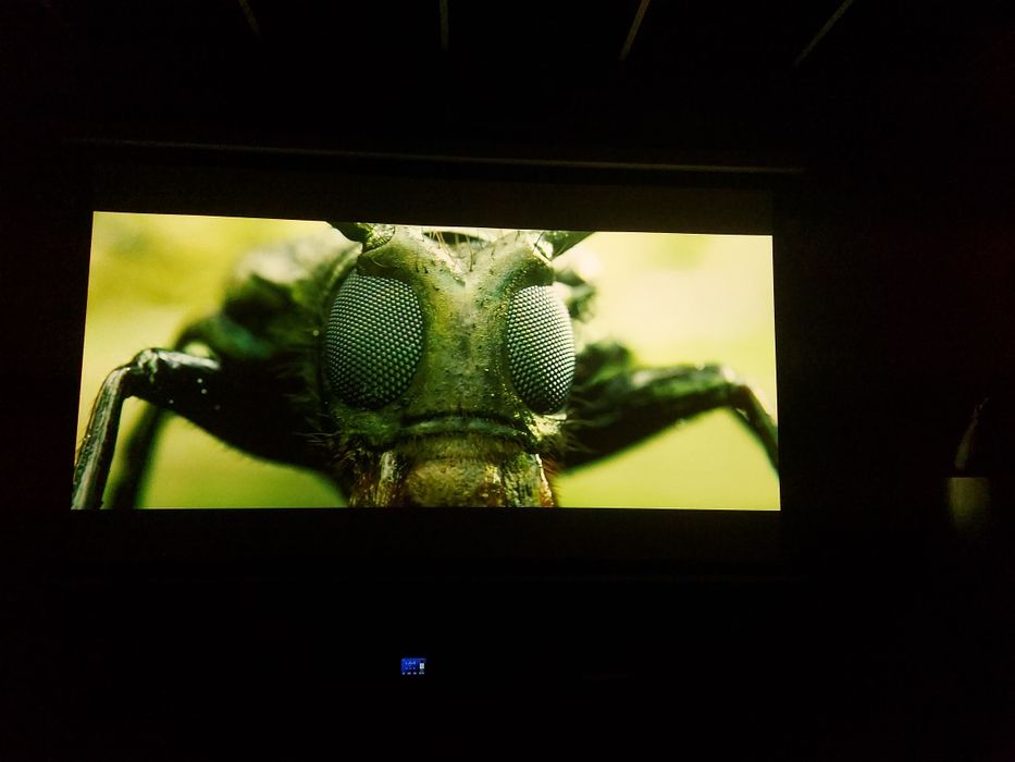 Ecran Black Widow rulabil ALR Grey Pearl