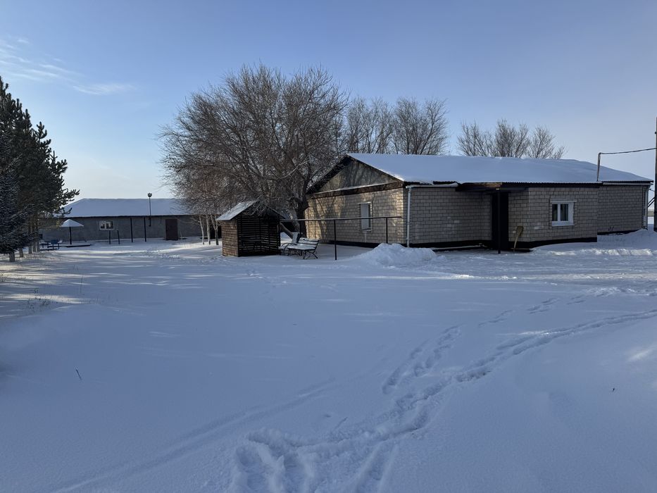 Действующий бизнес