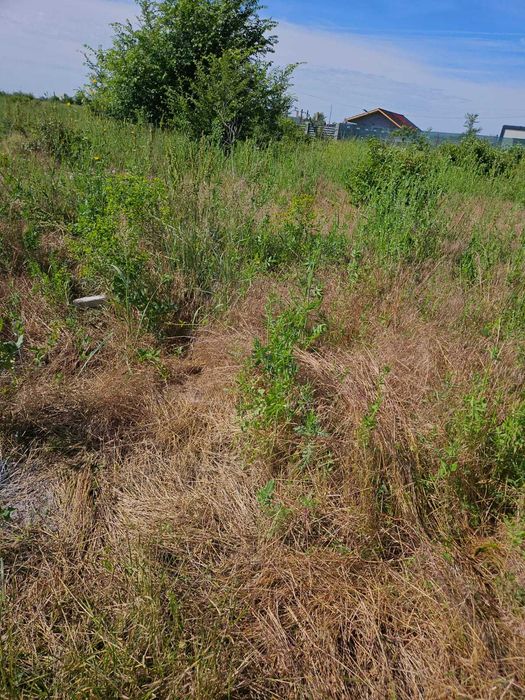 Vand teren cartierul Soarelui, localitatea Tartasesti, judetul Dambovita