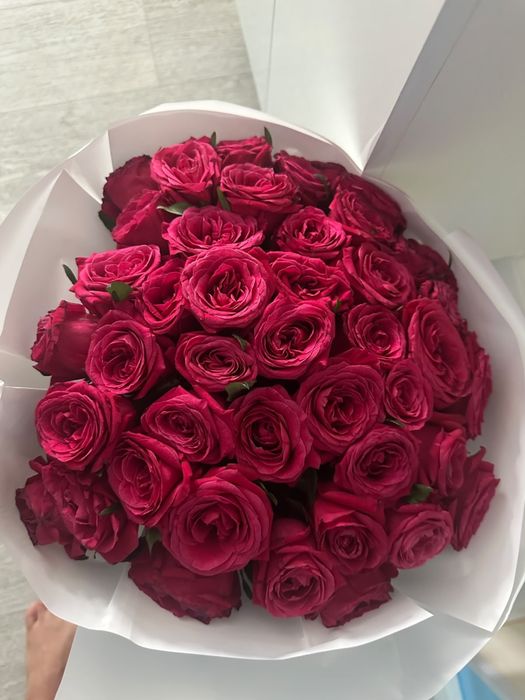 51роза,свежая 10к