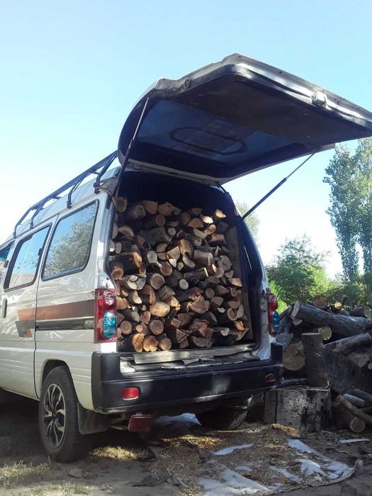 Ўтин сотамиз мевали, дарахт, доставка бор ДАМАС,КОПЛАБ