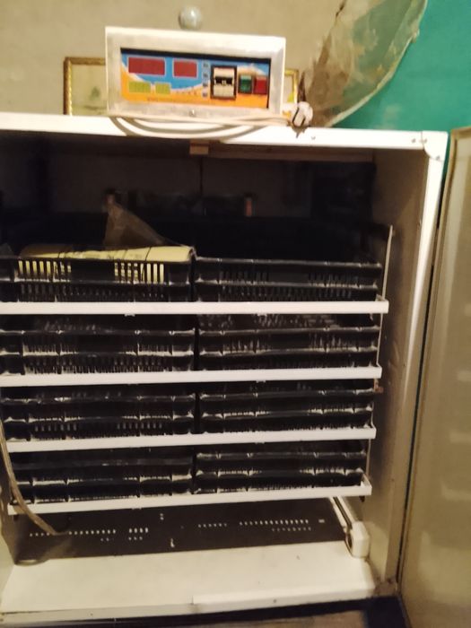 de vânzare incubator