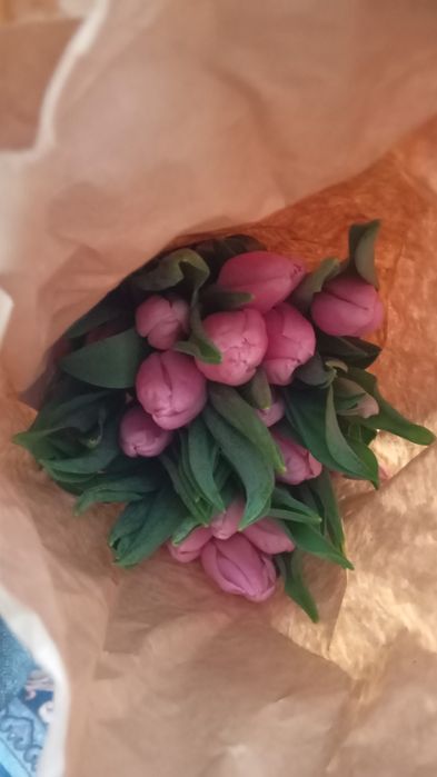 Тюлпаны свежие с луковицами оптом 24/7