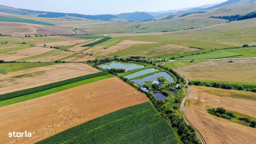 Proprietate spectaculoasă de 31.500 mp, cu iazuri și case locuibile