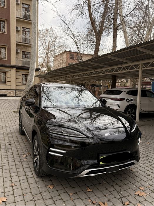 Byd champion Ev605km 2024