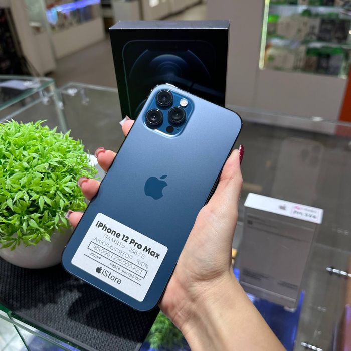 iPhone 12 Pro Max 256gb 100% | iStore