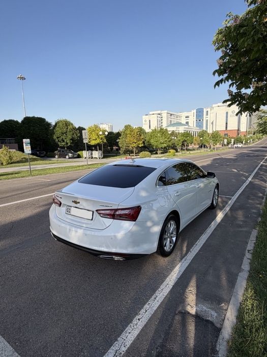 Malibu Premier 2022 тозза