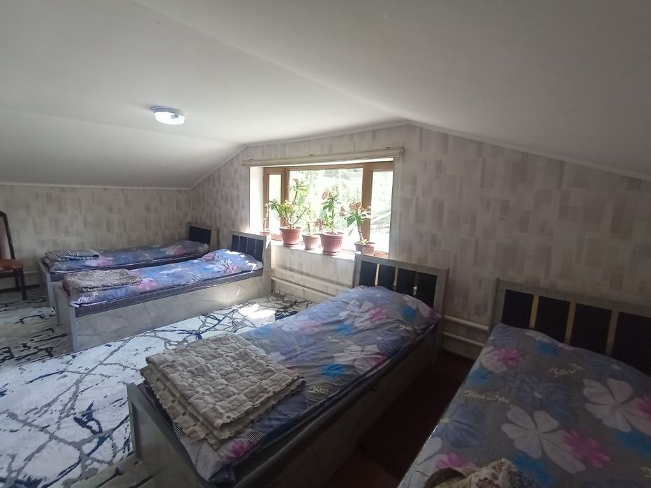 Дача Dacha Chimgan Boston