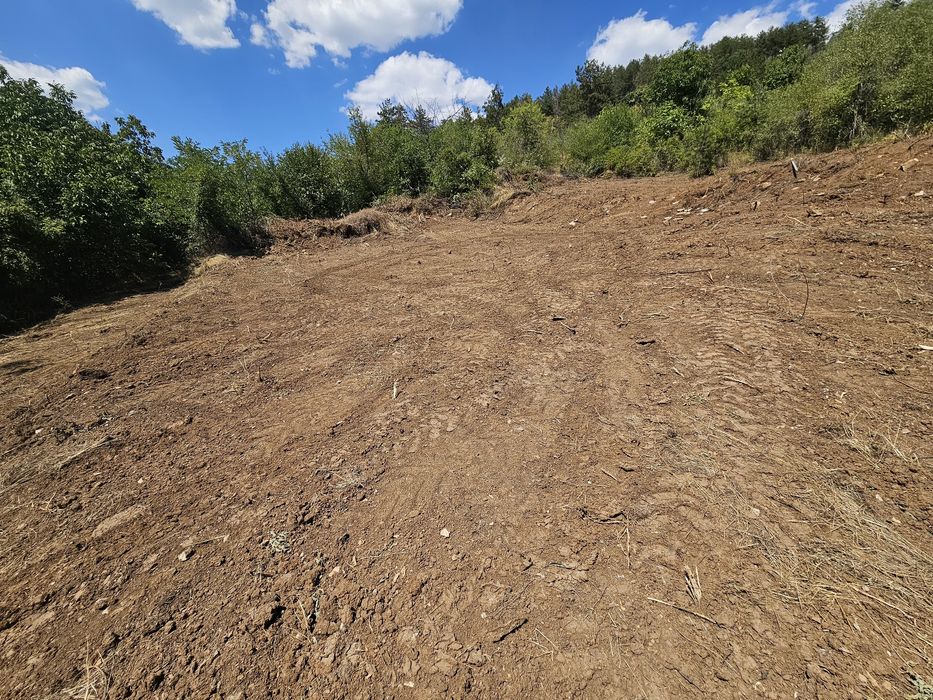 Панорамен парцел