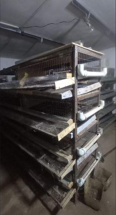 Продаеться сетка для содержания перепелки