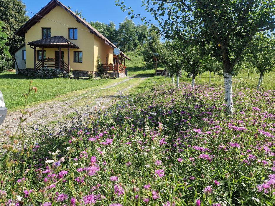 Cabana Sebes, refugiu privat la munte,ciubar, pana la 24 persoane in camere cu paturi matrimoniale